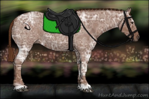 Horse Color:Red Ice Roan 