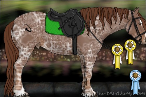 Horse Color:Chestnut Ice Sabino
