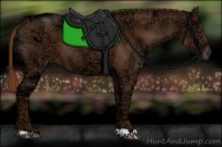 Horse Color:Chestnut Ice 