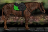 Horse Color:Chestnut Ice 