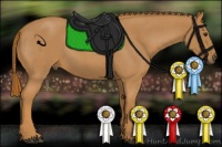 Horse Color:Red Roan 