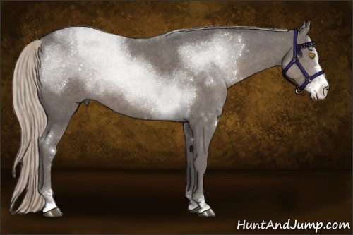 Horse Color:Silver Black Sabino