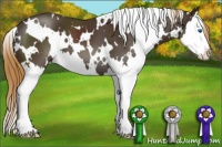 Horse Color:White Spotted Liver Chestnut Splash 