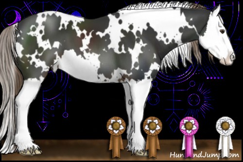 Horse Color:White Spotted Liver Chestnut Splash 