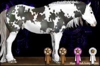 Horse Color:White Spotted Liver Chestnut Splash 