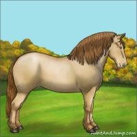 Horse Color:Chestnut Pearl