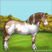 Horse Color:White Spotted Brown Pearl Frame Varnish Rabicano 