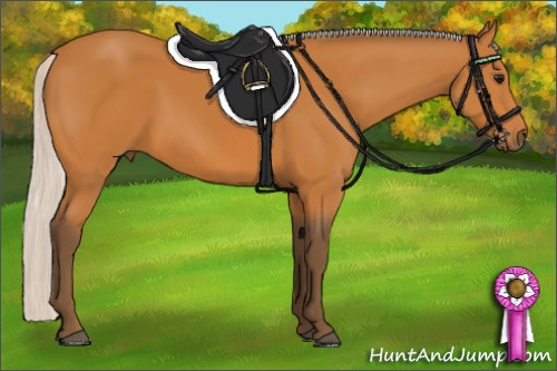 Horse Color:Silver Bay 