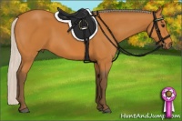 Horse Color:Silver Bay