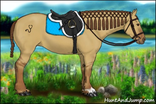 Horse Color:Red Dun 