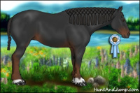 Horse Color:Gray Liver Chestnut 