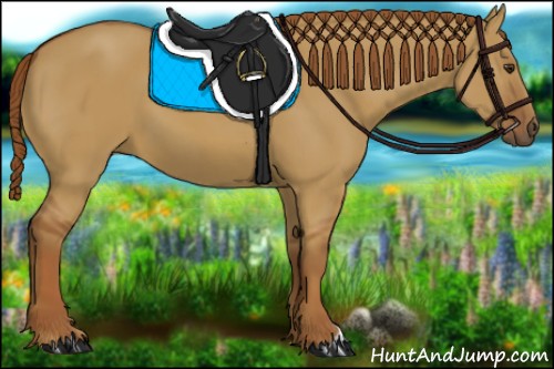 Horse Color:Red Dun 