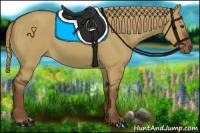 Horse Color:Liver Red Dun 