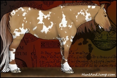 Horse Color:White Spotted Red Dun