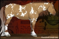 Horse Color:White Spotted Red Dun 