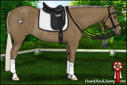 Horse Color:Silver Smoky Black Rabicano 