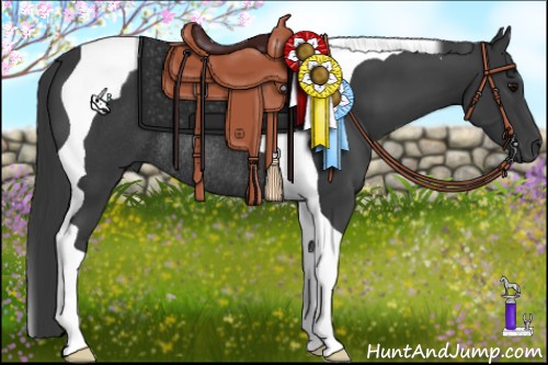 Horse Color:Black Tobiano Rabicano 