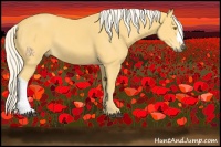 Horse Color:Palomino