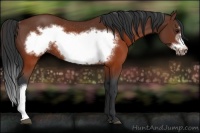 Horse Color:Brown Frame Rabicano 