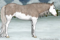 Horse Color:Silver Blue Roan Splash 