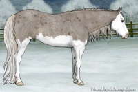 Horse Color:Silver Blue Roan Splash