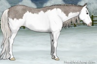 Horse Color:Silver Blue Roan Splash 