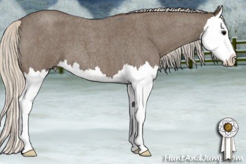 Horse Color:Silver Blue Roan Splash 