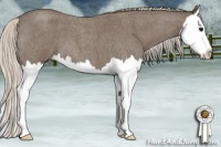 Horse Color:Silver Blue Roan Splash