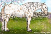 Horse Color:Palomino Near Leopard  and Palomino Near Leopard 