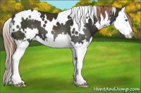Horse Color:White Spotted Liver Chestnut Splash 