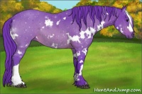 Horse Color:Watercolor White Spotted Bay 