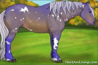 Horse Color:Watercolor White Spotted Silver Bay 