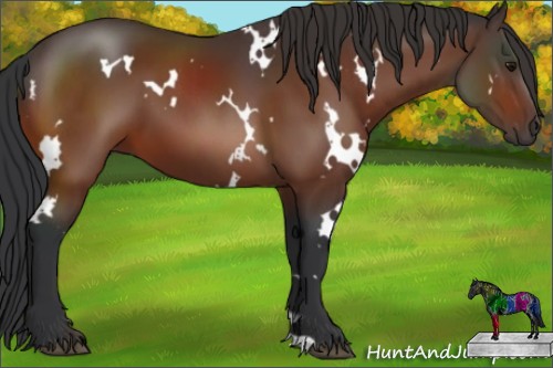 Horse Color:White Spotted Brown 