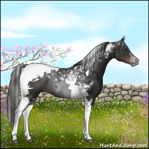 Horse Color:Liver Chestnut Tobiano Rabicano 