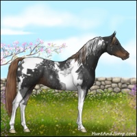Horse Color:Liver Chestnut Tobiano Rabicano