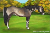 Horse Color:Brown Onyx Rabicano and Blue Onyx Rabicano