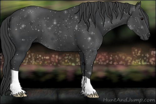 Horse Color:ERROR: UNKNOWN ANOMALY