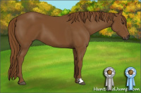 Horse Color:Gray Chestnut 