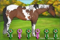 Horse Color:Bay Roan Tobiano