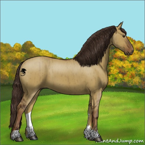 Horse Color:Liver Red Dun Brindle 