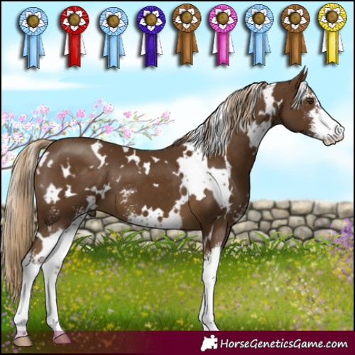 Horse Color:White Spotted Chocolate Palomino Sabino