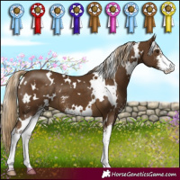 Horse Color:White Spotted Chocolate Palomino Sabino 