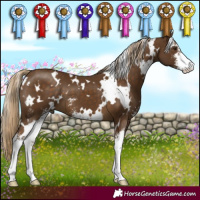 Horse Color:White Spotted Chocolate Palomino Sabino