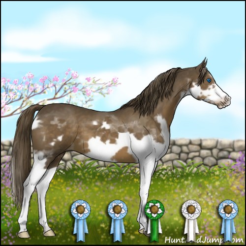 Horse Color:Liver Chestnut Splash Frame 