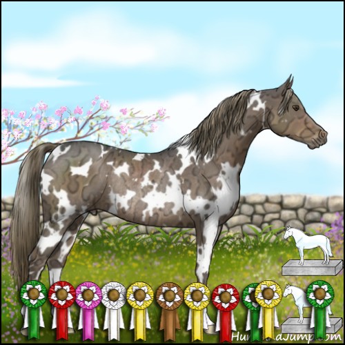 Horse Color:White Spotted Liver Chestnut Ice Rabicano