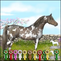 Horse Color:White Spotted Liver Chestnut Ice Rabicano