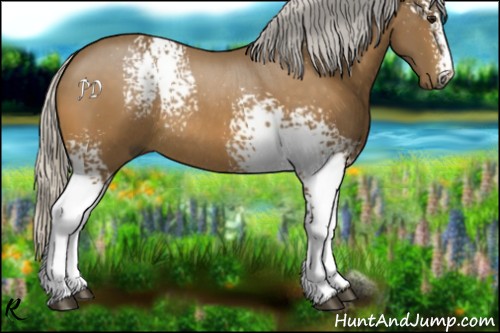 Horse Color:White Spotted Silver Buckskin Sabino Rabicano