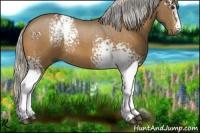 Horse Color:White Spotted Silver Buckskin Sabino Rabicano