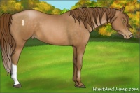 Horse Color:Brown Pearl 