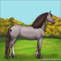 Horse Color:Chocolate Grullo Chinchilla 